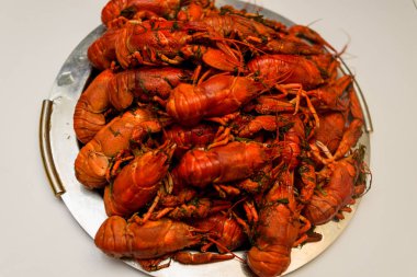 Bir tabak dereotu üzerinde bir sürü haşlanmış kırmızı kerevit. Yakından kapatın. Makro modu. Lezzetli deniz ürünleri gıda. .