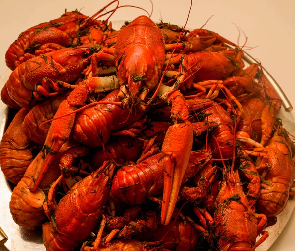 Lots of boiled red crayfish on a plate of dill. Close up. Macro mode.Delicious seafood food. . — Stock Photo, Image