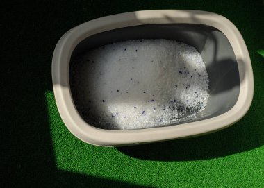 banyo zemin üzerinde kum ile çöp kutusu