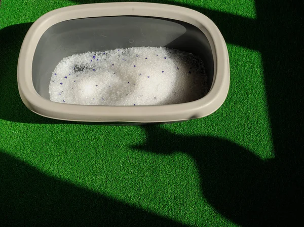 Litter box with sand on bathroom floor — Stock Photo, Image