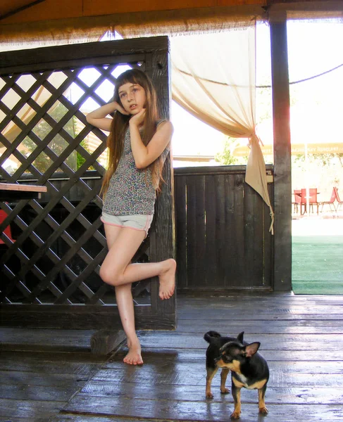 Schöne langhaarige kleine Mädchen mit einem Hund chihuahua — Stockfoto