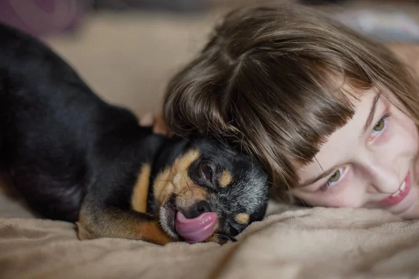 Belle petite fille aux cheveux longs avec un chien Chihuahua — Photo