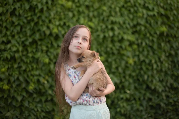 Seorang gadis pirang kecil dengan anjing peliharaannya outdooors di taman. — Stok Foto
