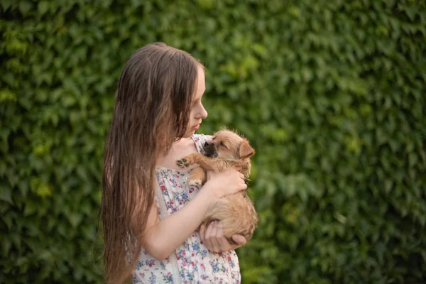 Uma menina loira com seu cão de estimação outdooors no parque. — Fotografia de Stock