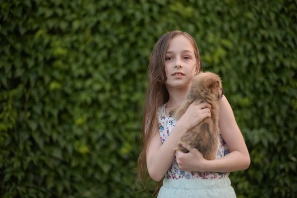 Una niña rubia con su perro mascota en el parque. — Foto de Stock