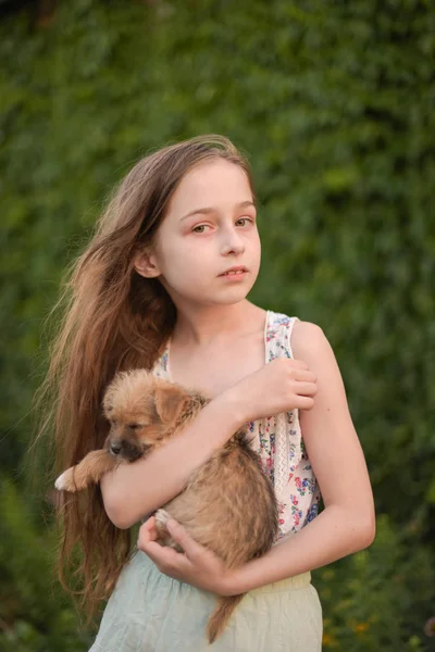 Uma menina loira com seu cão de estimação outdooors no parque. — Fotografia de Stock