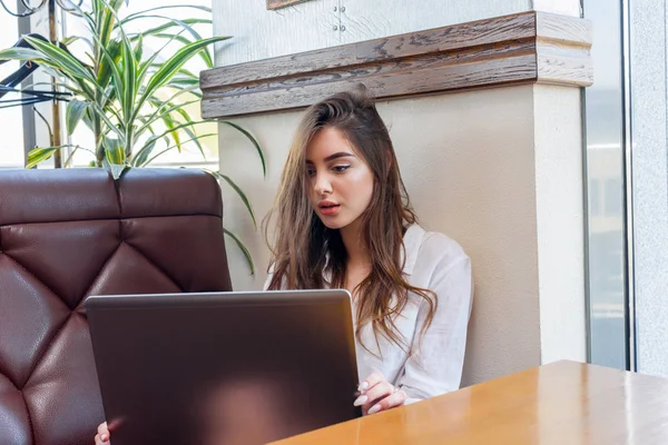 Bruneta femeie de afaceri care lucrează în spatele laptopului lângă fereastră în atmosfera confortabilă cafenea — Fotografie, imagine de stoc