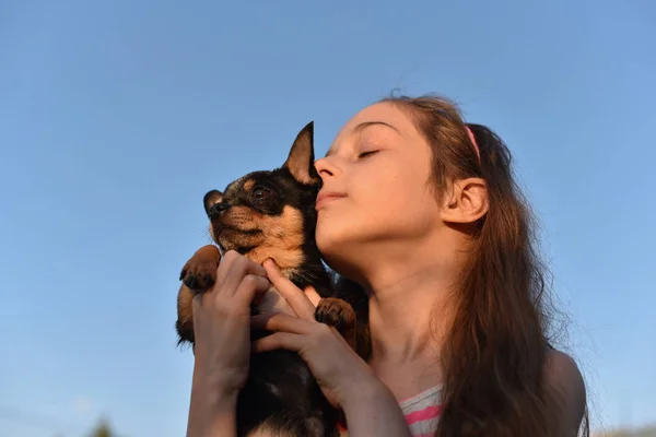 Όμορφο νεαρό καυκάσιο κορίτσι κρατώντας με την αγάπη το μικρό Τσιουάουα κατοικίδιο σκυλί της στη θάλασσα εξωτερική φόντο — Φωτογραφία Αρχείου