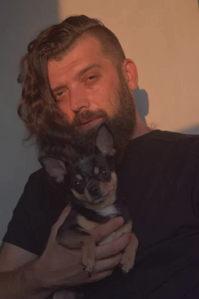 A bearded man hugs a small dog breed Chihuahua.