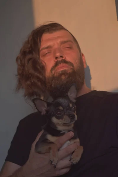 A bearded man hugs a small dog breed Chihuahua.