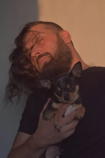 A bearded man hugs a small dog breed Chihuahua.