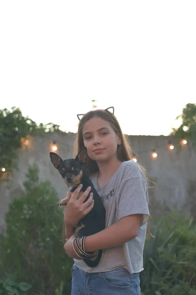 Portrait d'été d'une jeune femme sur la nature avec une race de chien Chihuahua . — Photo