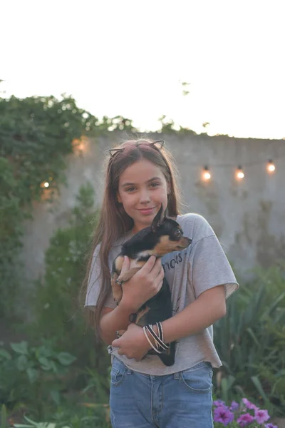 Retrato de verão de uma jovem mulher na natureza com uma raça de cães Chihuahua . — Fotografia de Stock