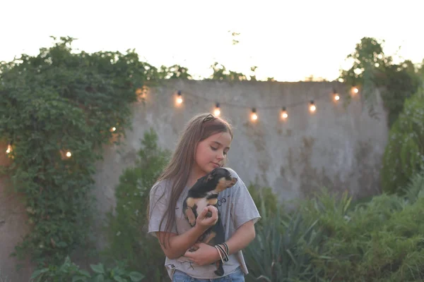 Καλοκαιρινό πορτρέτο μιας νεαρής γυναίκας στη φύση με μια φυλή σκύλων Τσιουάουα. — Φωτογραφία Αρχείου