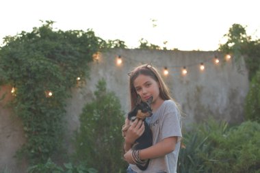 Bir köpek ırkı Chihuahua ile doğada genç bir kadının Yaz portresi.