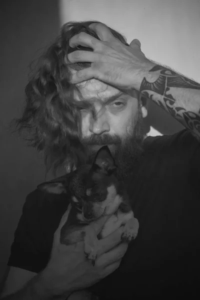 Un homme barbu embrasse un petit chien Chihuahua . — Photo