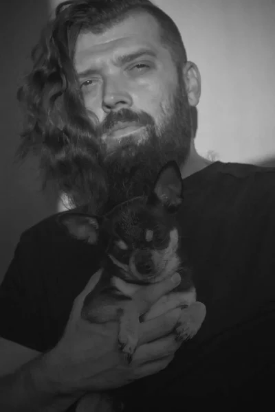 A bearded man hugs a small dog breed Chihuahua.