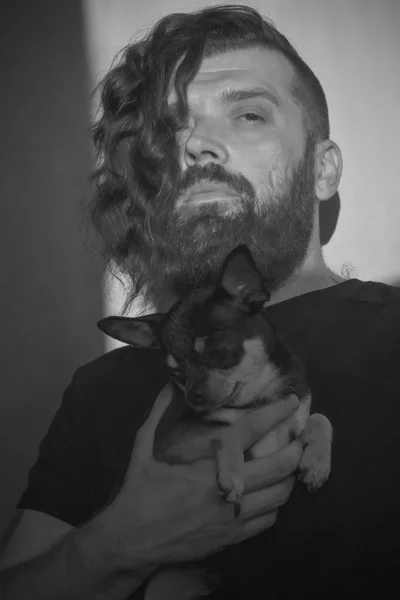 Un homme barbu embrasse un petit chien Chihuahua . — Photo