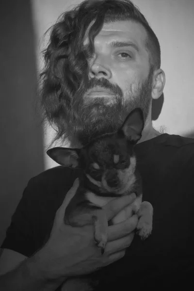 A bearded man hugs a small dog breed Chihuahua.