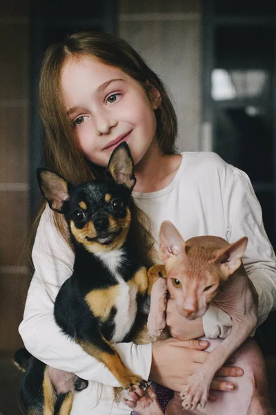 Criança abraçando um gato e um cão — Fotografia de Stock