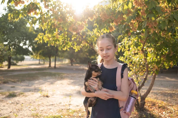 Schoolgirl goes to school in the morning sun — Stock Photo, Image