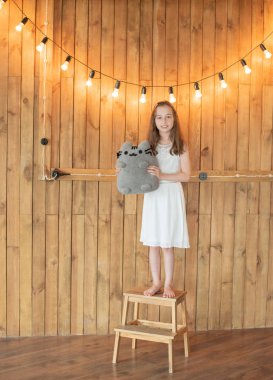 Gri kedi oyuncak ile küçük kız