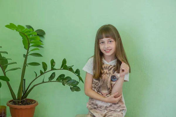 Girl 9 years old on a green background. Hairdressing, hair cutting.