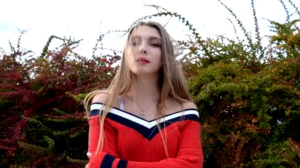 Vento Soffia Ragazze Capelli Biondi Super Slow Motion Ragazza Con — Video Stock