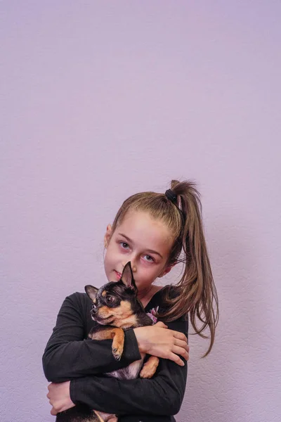 Chihuahua chien mignon. Fille après avoir fait du sport avec chihuahua — Photo