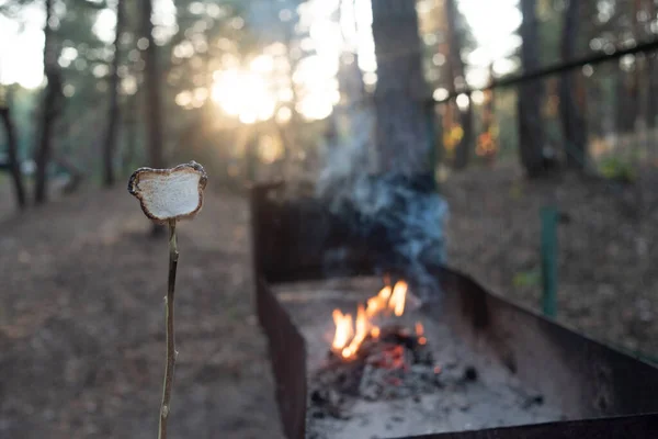 Marsh mellows on wooden skewers toasting over wood flames — Stock Photo, Image