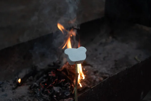 Mellows di palude su spiedini di legno tostatura su fiamme di legno — Foto Stock