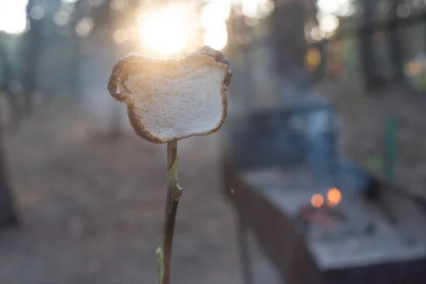 Pantano mellows en madera pinchos tostado sobre llamas de madera —  Fotos de Stock