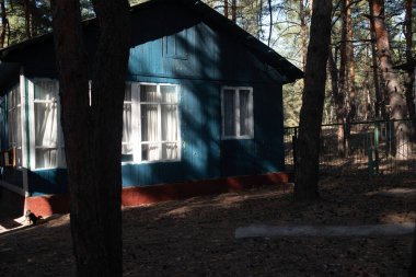 Ormandaki ev. Ormanda dinlen. Dinlenme bölgesi. Eski ahşap ev... pencere ve ahşap saman mavisi..