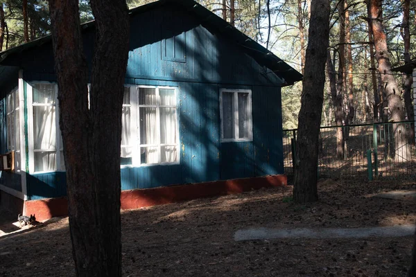 House in the forest. Rest in the forest. Rest zone. Old wooden house.. window and wooden hay blue.