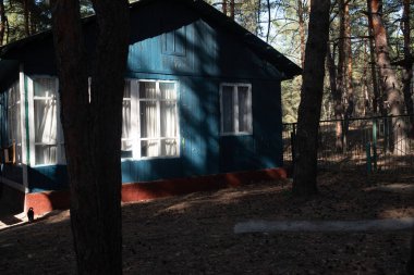 Ormandaki ev. Ormanda dinlen. Dinlenme bölgesi. Eski ahşap ev... pencere ve ahşap saman mavisi..