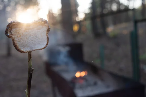 Pantano mellows en madera pinchos tostado sobre llamas de madera —  Fotos de Stock