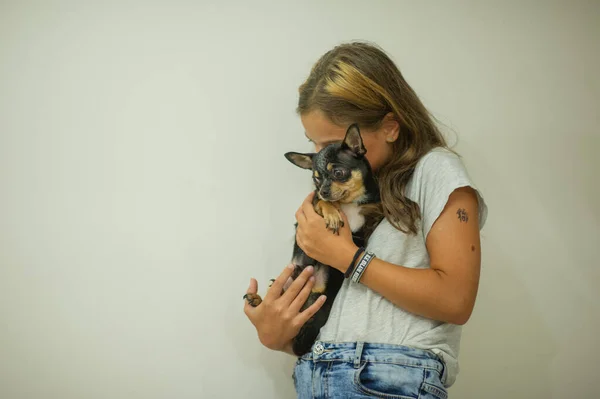 Bella ragazza caucasica con i capelli lunghi che tengono piccolo cane chihuahua beige, ritratto, sfondo bianco — Foto Stock