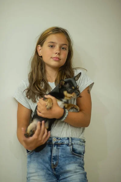 Hermosa chica caucásica con pelo largo sosteniendo pequeño perro chihuahua beige, retrato, fondo blanco — Foto de Stock