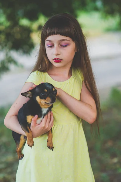 Menina com um cachorro chihuahua ao pôr-do-sol. Um cachorro nas mãos de uma menina — Fotografia de Stock
