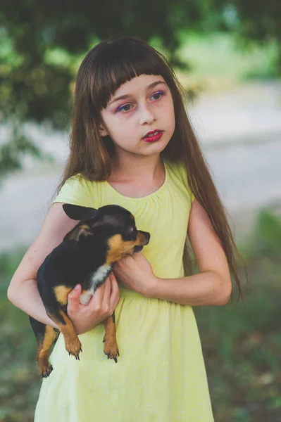 Niña con un cachorro chihuahua al atardecer. Un cachorro en manos de una chica —  Fotos de Stock
