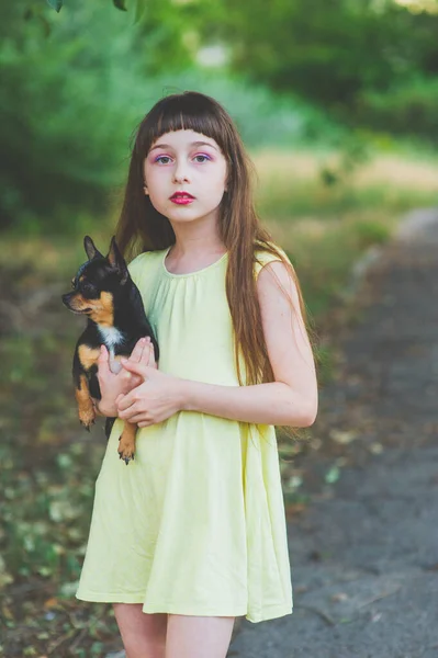 Kleines Mädchen mit einem Chihuahua-Welpen bei Sonnenuntergang. ein Welpe in den Händen eines Mädchens — Stockfoto