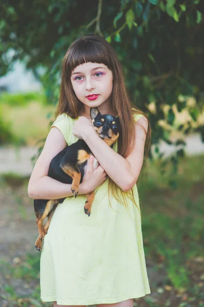 Kleines Mädchen mit einem Chihuahua-Welpen bei Sonnenuntergang. ein Welpe in den Händen eines Mädchens — Stockfoto