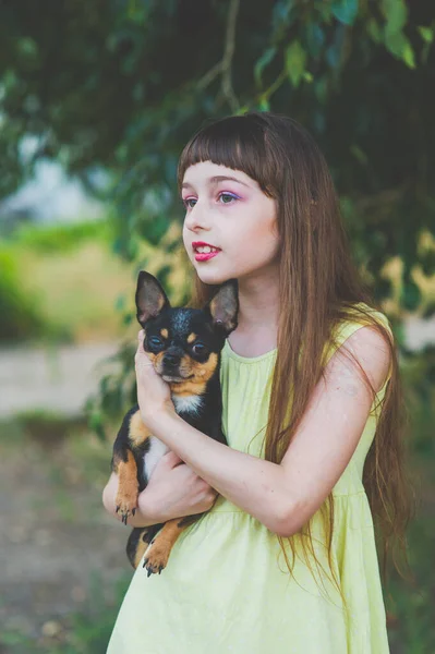 해 가 지면 치와와 강아지를 키우는 어린 소녀. 소녀의 손에 안겨 있는 강아지 — 스톡 사진