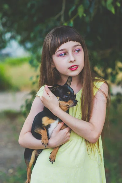 Маленькая девочка с щенком чихуахуа на закате. Щенок в руках девушки — стоковое фото