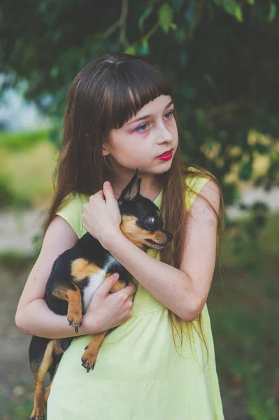 Kislány egy chihuahua kiskutyával naplementekor. Egy kiskutya egy lány kezében. — Stock Fotó