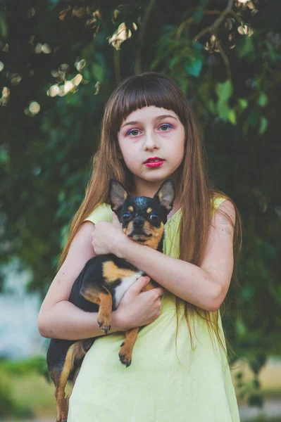 Kleines Mädchen mit einem Chihuahua-Welpen bei Sonnenuntergang. ein Welpe in den Händen eines Mädchens — Stockfoto