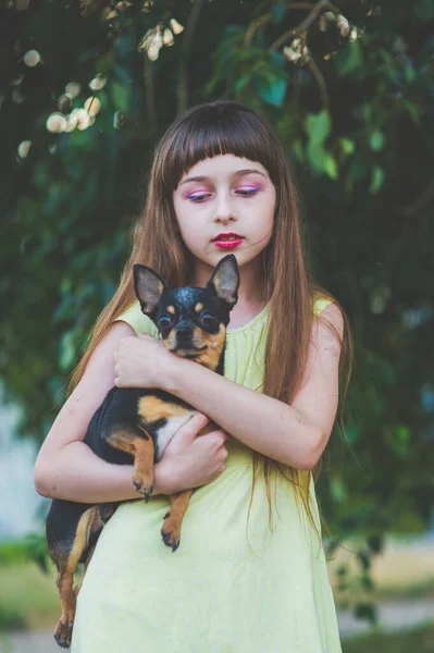 Маленькая девочка с щенком чихуахуа на закате. Щенок в руках девушки — стоковое фото
