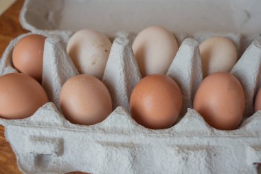 Çiftlikten organik tavuk yumurtası. Ev yapımı yumurta.