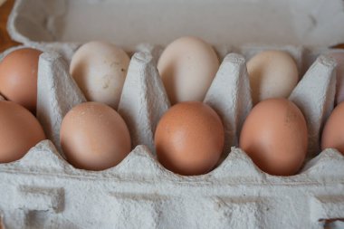 Çiftlikten organik tavuk yumurtası. Ev yapımı yumurta.
