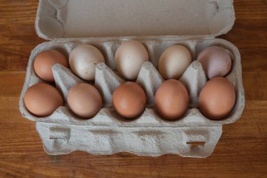 Çiftlikten organik tavuk yumurtası. Ev yapımı yumurta.